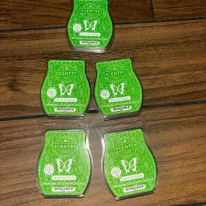 Scentsy MEET AT THE MISTLETOE Wax Bars ~ Lot Of 5~ NIP